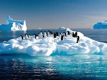 不再小众！中国赴南极旅游人数9年暴涨40倍