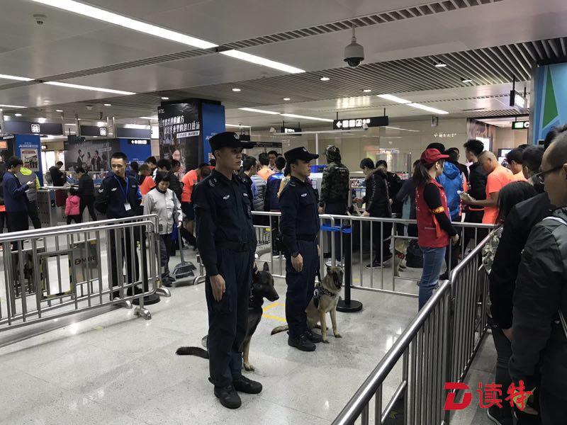 “深马”零警情零事故！背后是近万警察的付出