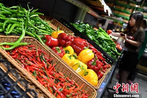“南菜北运”基地：部分蔬菜价格或将节点性上涨