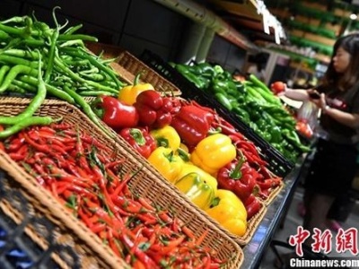 “南菜北运”基地：部分蔬菜价格或将节点性上涨