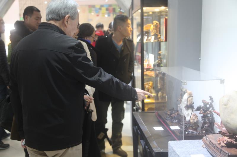 龙岗龙园创意奇石展开幕 免费开放至12月20日  