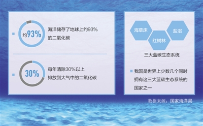 你知道“蓝碳”是什么吗？专家建议完善蓝碳标准体系