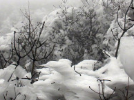 广东今年第一场雪来啦！“南粤小华山”一夜成冰雪世界