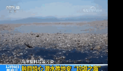 因为很多人每天扔掉的这东西,一个全新的