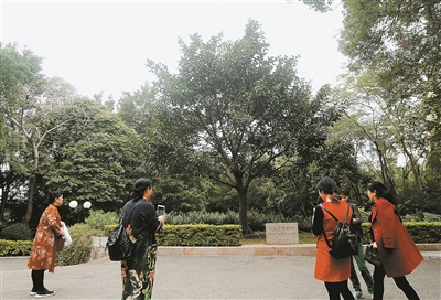 勇立潮头唱大风  深圳5年来牢记嘱托改革开放阔步向前
