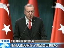 土耳其总统埃尔多安反对耶路撒冷为以色列首都