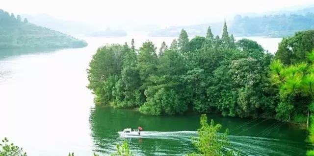 中国“最美森林”和“森林氧吧”揭晓 广东这个森林入选