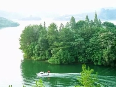 中国“最美森林”和“森林氧吧”揭晓 广东这个森林入选