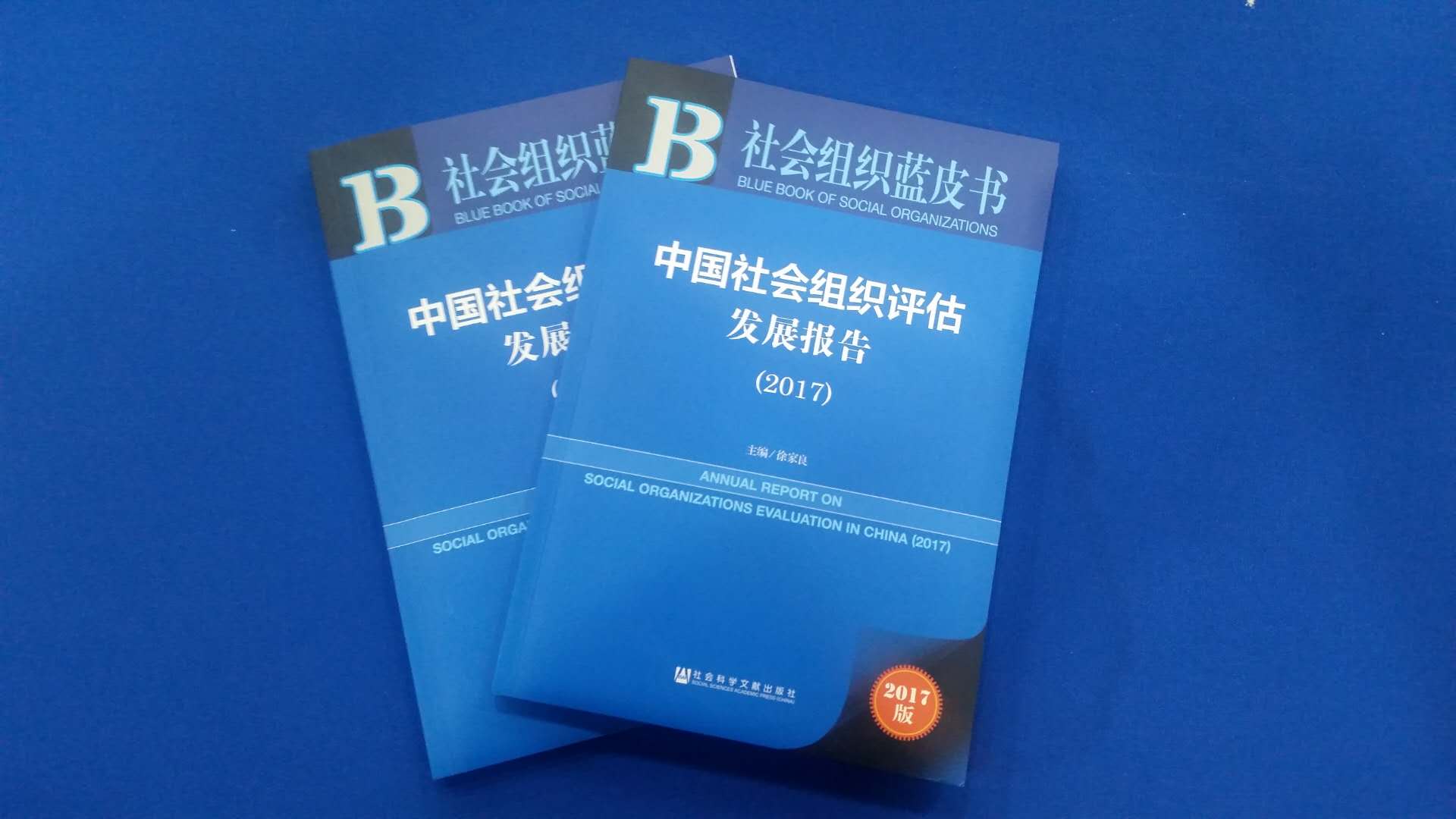 社会组织蓝皮书：全国性社会组织专业性逐步提高