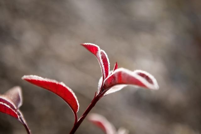 @深圳人，冷空气又要到货了！最低10 ℃以下