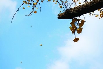 深圳干燥天气将持续到周末！