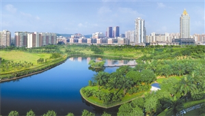 厉害了，龙岗、宝安街道环境卫生指数创新高，全市领先！