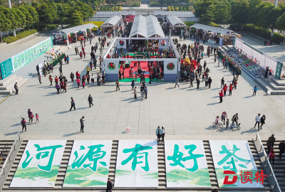 深圳对口帮扶河源214个村 其中65个村正靠种茶脱贫