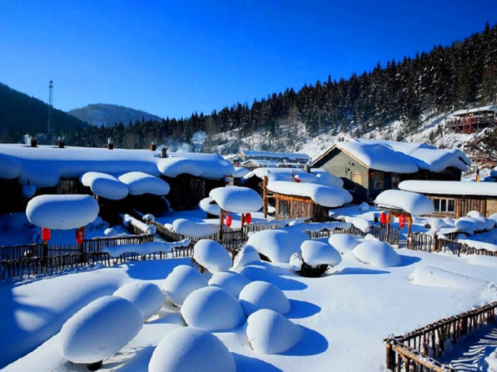 雪乡“花式宰客”事件店家：给雪乡抹黑，我不干了
