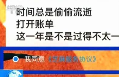 国家网信办就“支付宝年度账单事件”约谈企业负责人