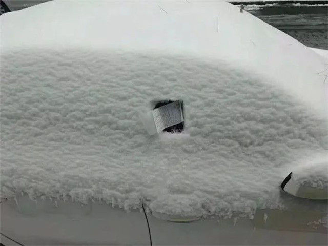 风里雪里，罚单永不缺席！这张罚单火了，网友笑疯了 