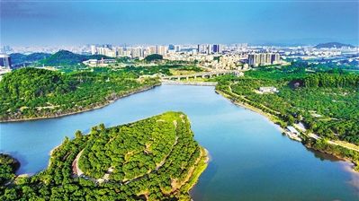 深圳铁腕治水取得阶段性成效
