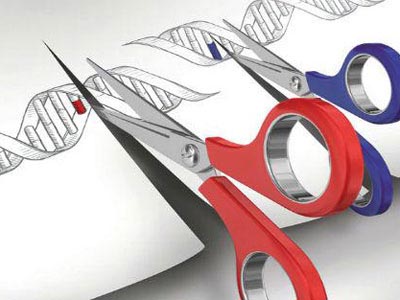 美华裔科学家开发出“基因试纸”，可从血样里检测肿瘤