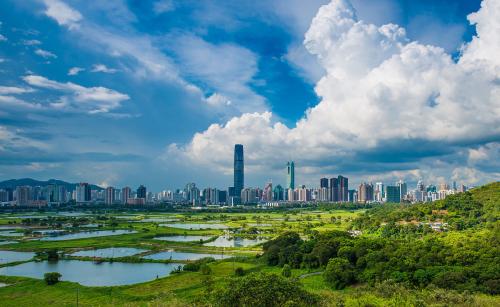学习习近平重要讲话精神|推动全面开放 打造国际一流湾区