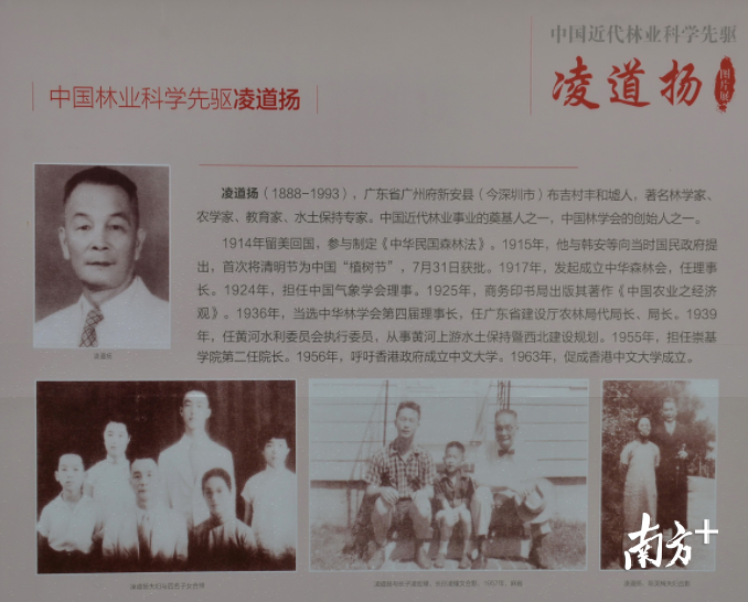 你知道中国植树节倡议者是谁吗？原来他来自深圳布吉老圩