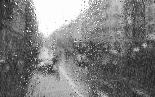 深圳第一声春雷响了！实不相瞒，后面还有200多天的雷雨季在等你！