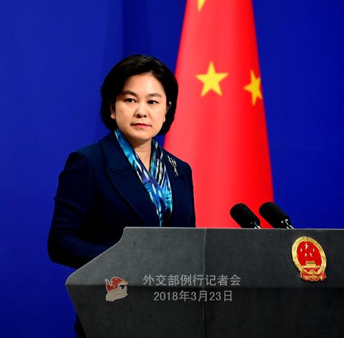 外交部回应日本外相访港