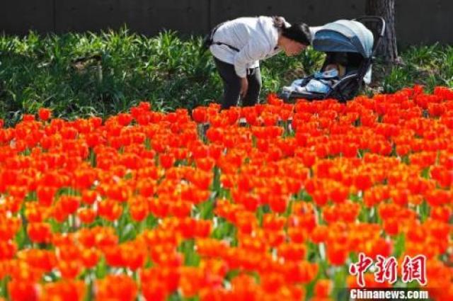 全国大部持续升温 多地提前迎