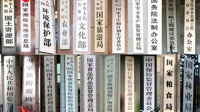 两会观察｜一场极具魄力的自我革命