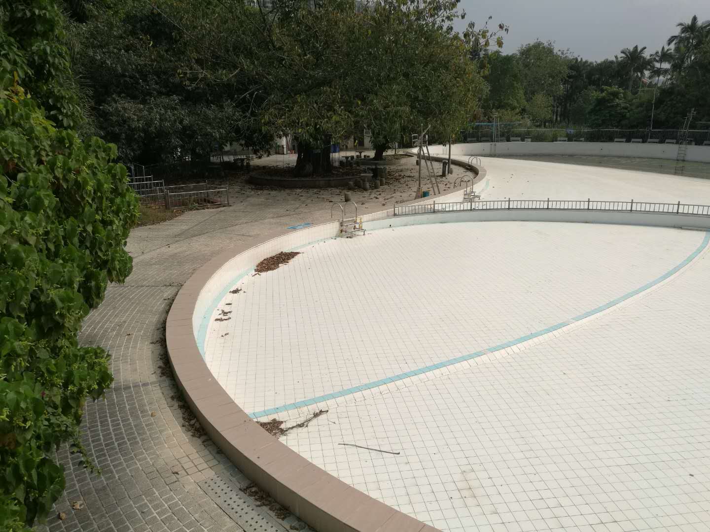 洪湖公园游泳场5月起与深圳市民告别