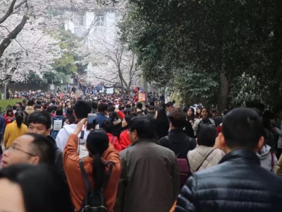 这次，武汉大学彻底怒了！  