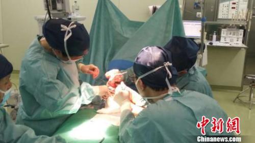 全球罕见的“三条腿”男婴在上海成功接受手术