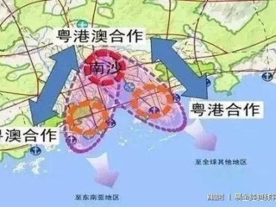 叶梅芬： 努力打造粤港澳大湾区东北部核心城市