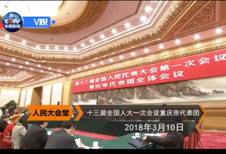 习近平到重庆代表团参加审议