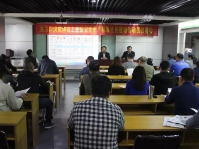 龙华安监局组织第二期企业安全生产标准化建设动员培训会议