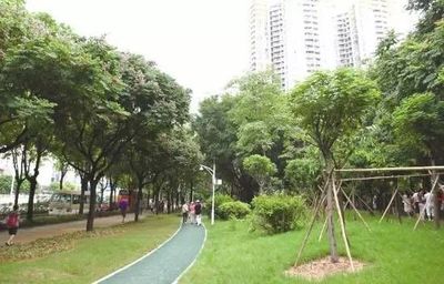 深圳社会民生保障再上新台阶 这些“礼包”你收到了吗？