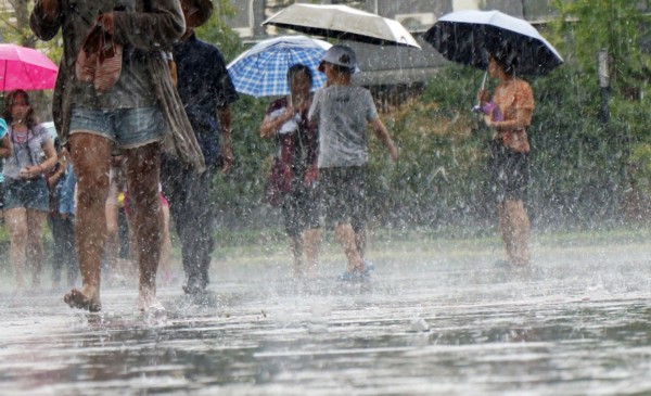 大暴雨多、台风影响早！深圳汛期来势汹汹