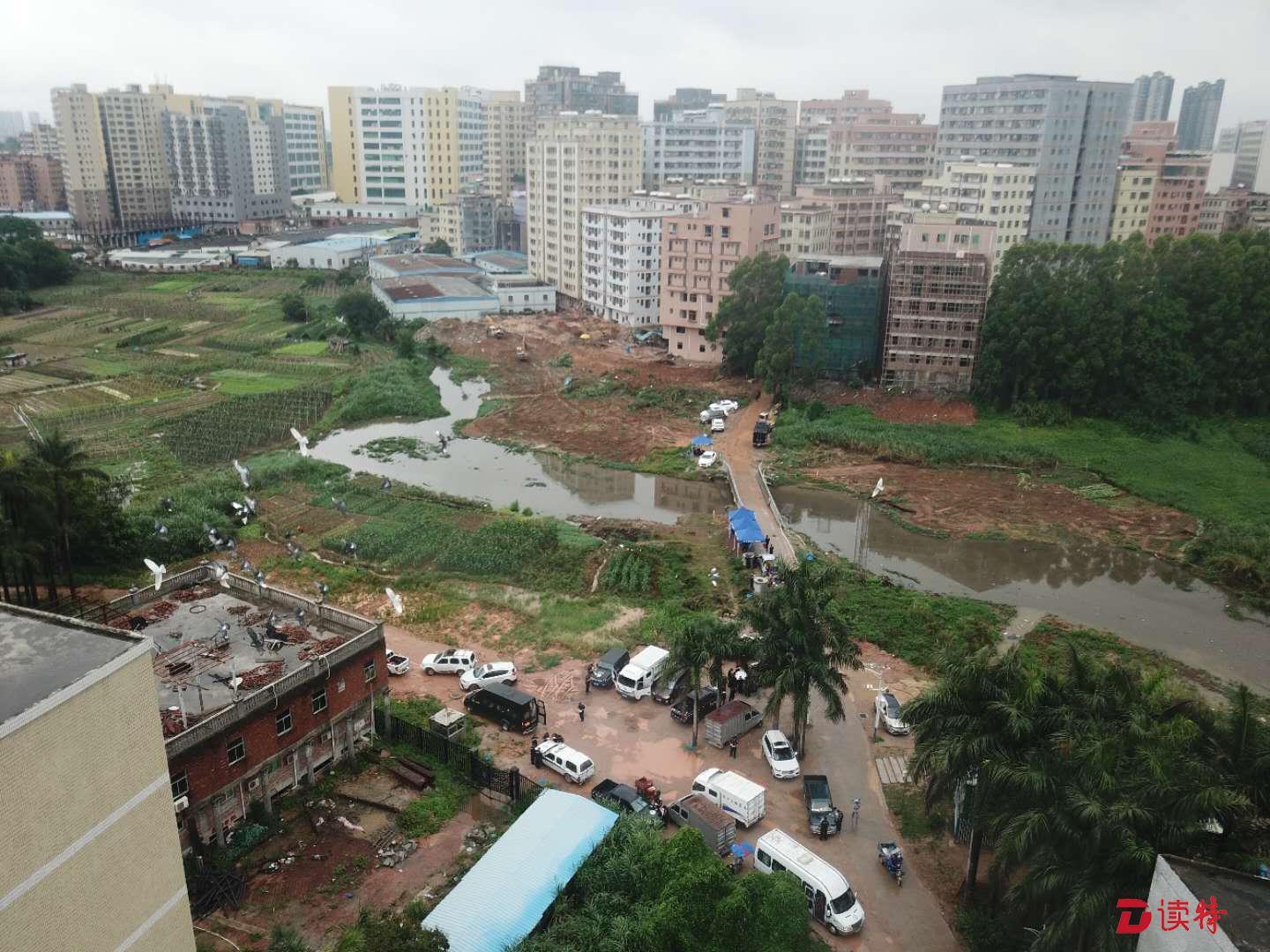 坪山冒雨清理深惠边界13万平方米国有储备土地