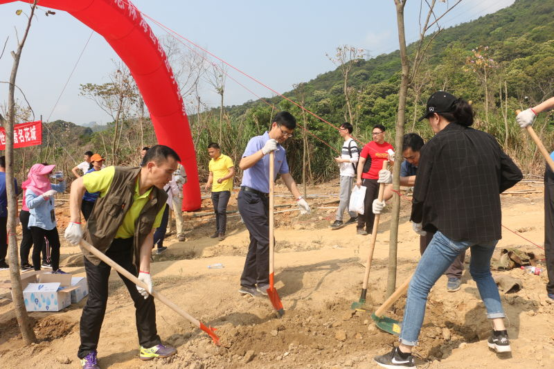 盐田海山街道开展植树活动,600株宫粉紫荆扮靓梧桐山