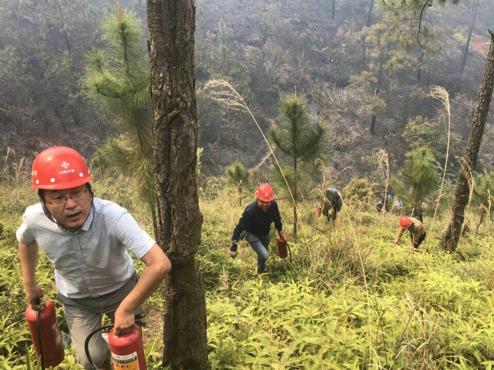 清明上山祭祖注意了！云茂高速员工已连续扑灭3起山火