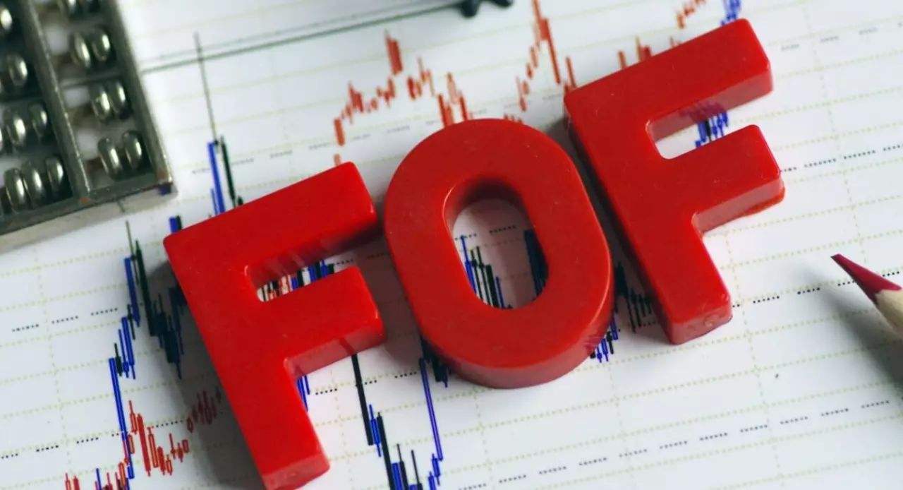 投资必读｜FOF完成建仓，规模和持仓都有大变化
