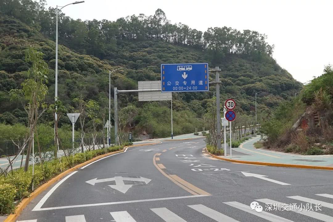 老司机都没见过!深圳一小路藏着条24小时公交专用道