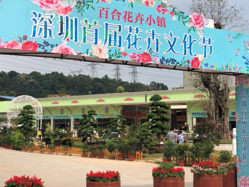 龙岗这个花卉文化节，带你一起走进浪漫的五月花海！