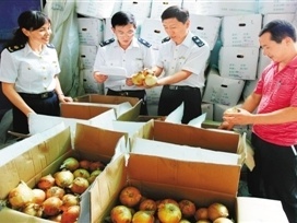 深圳建立供深食品标准体系 打造市民满意食品安全城市