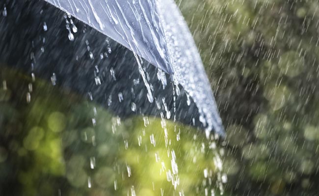 长江以北大风起 华南降雨降温齐发