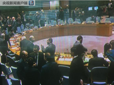 中国常驻联合国代表：叙局势十分危急 中方反对用武力 