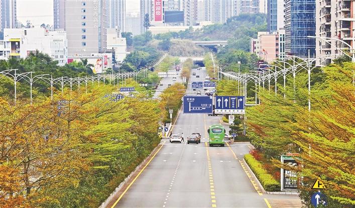 龙岗街道：建立环境品质任务清单