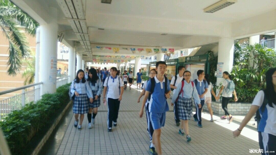 深外高中自主招生60人，7月1日面试