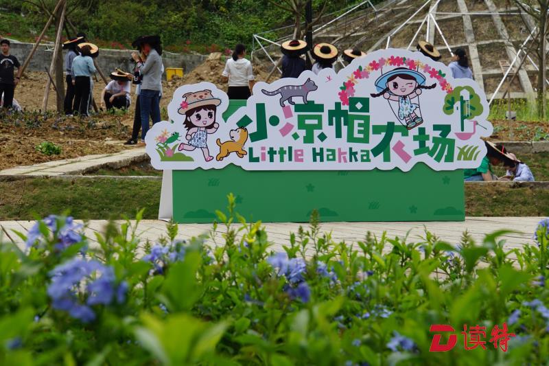 龙岗的这个“小镇”上央视《焦点访谈》啦！