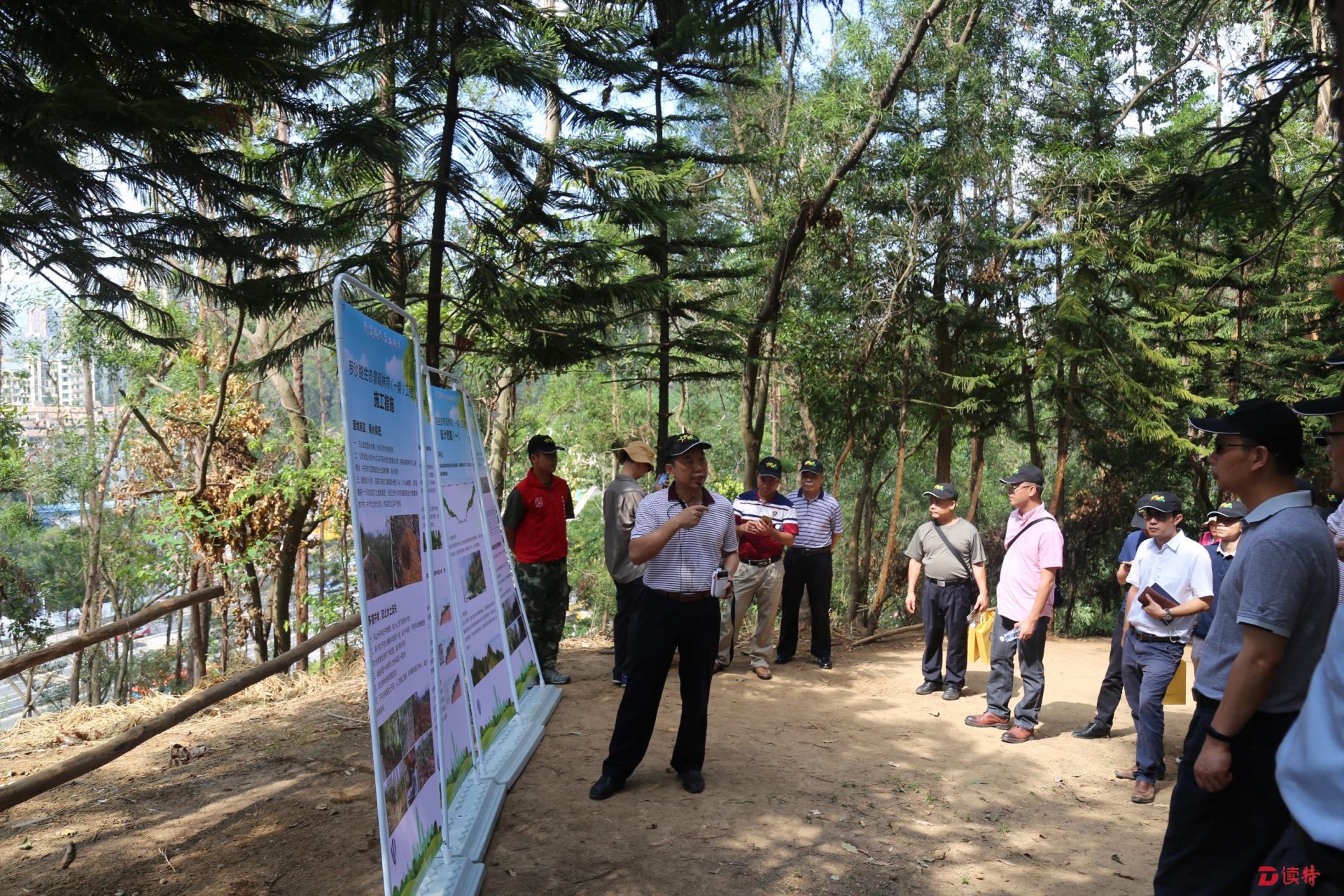 深圳创建国家森林城市推进会在罗湖区召开