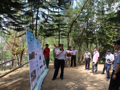 深圳创建国家森林城市推进会在罗湖区召开